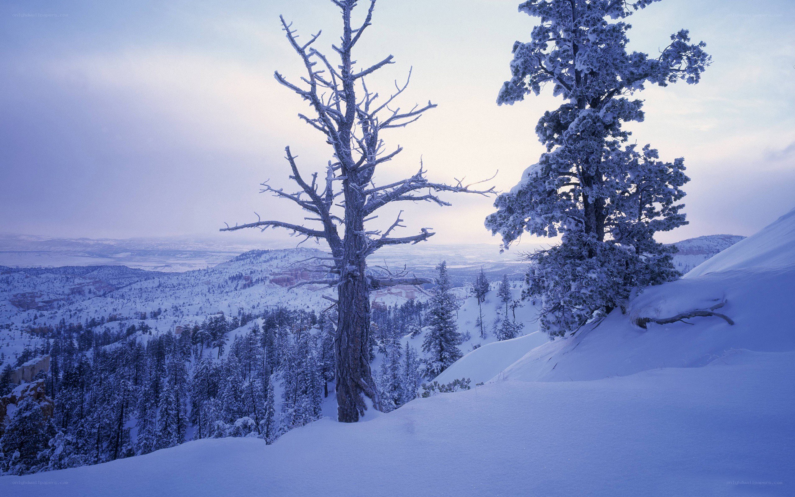 Snow-covered mountain landscape