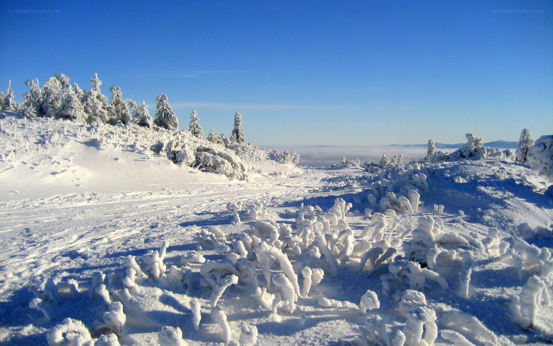 Snow-covered mountain landscape