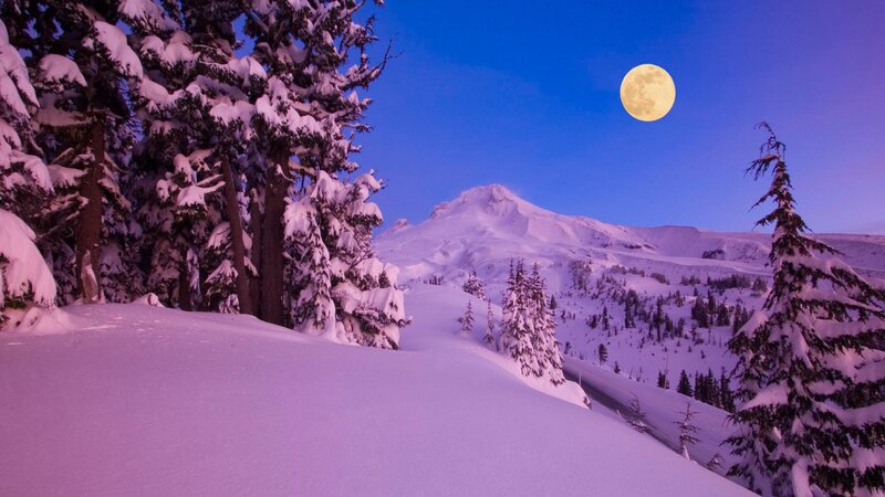 Snow-covered Mountain Landscape — Purple, Serene, Night, Photograph, Moon, Trees