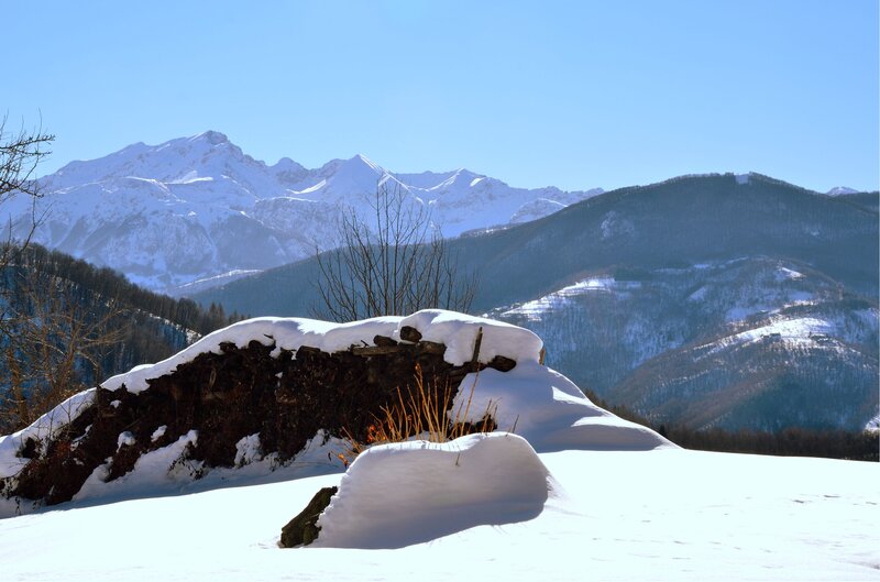 Snow-covered Mountain Landscape — White, Serene, Winter, Photograph, Mountains, Snow, Trees