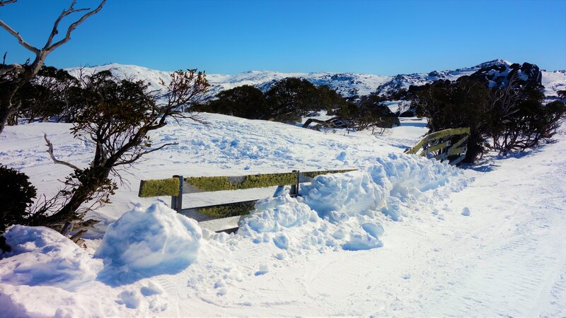 Snow-covered Mountain Landscape — White, Serene, Winter, Photograph, Trees, Fence