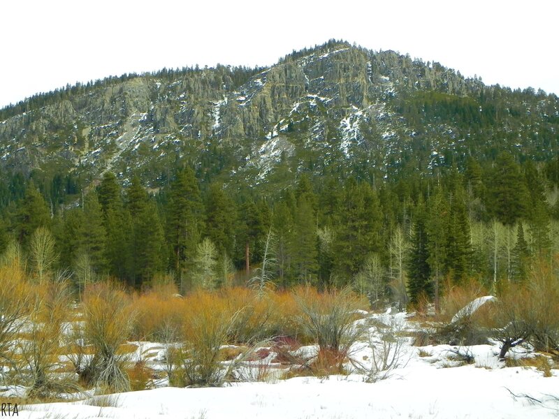 Snow-covered Mountain Landscape — White, Serene, Winter, Photograph, Trees