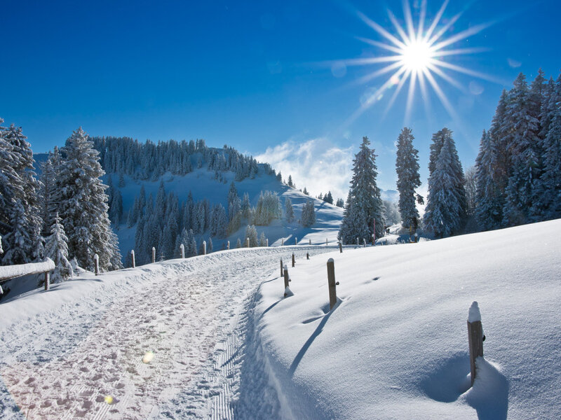 Snow-covered Mountain Path — Blue