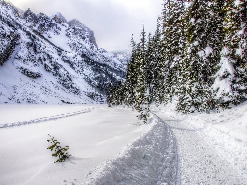 Snow-covered Mountain Path