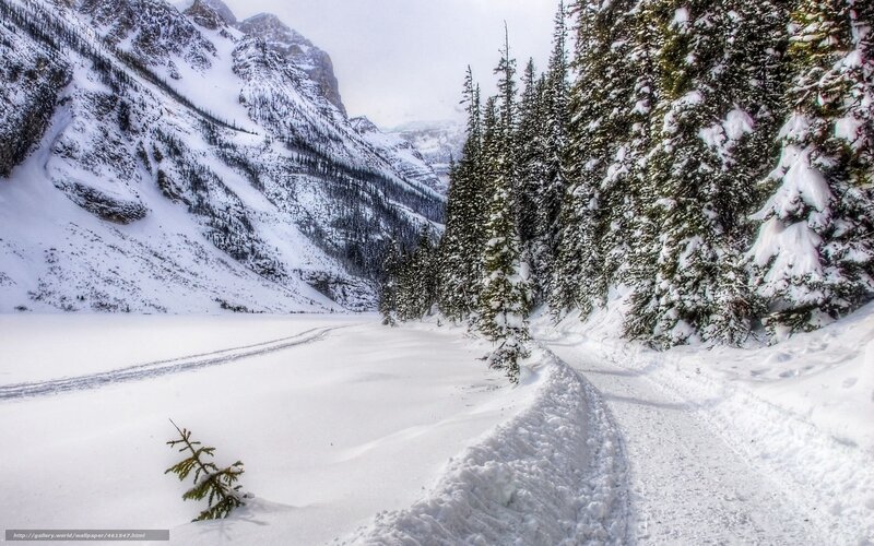 Snow-covered Mountain Path — White, Serene, Winter