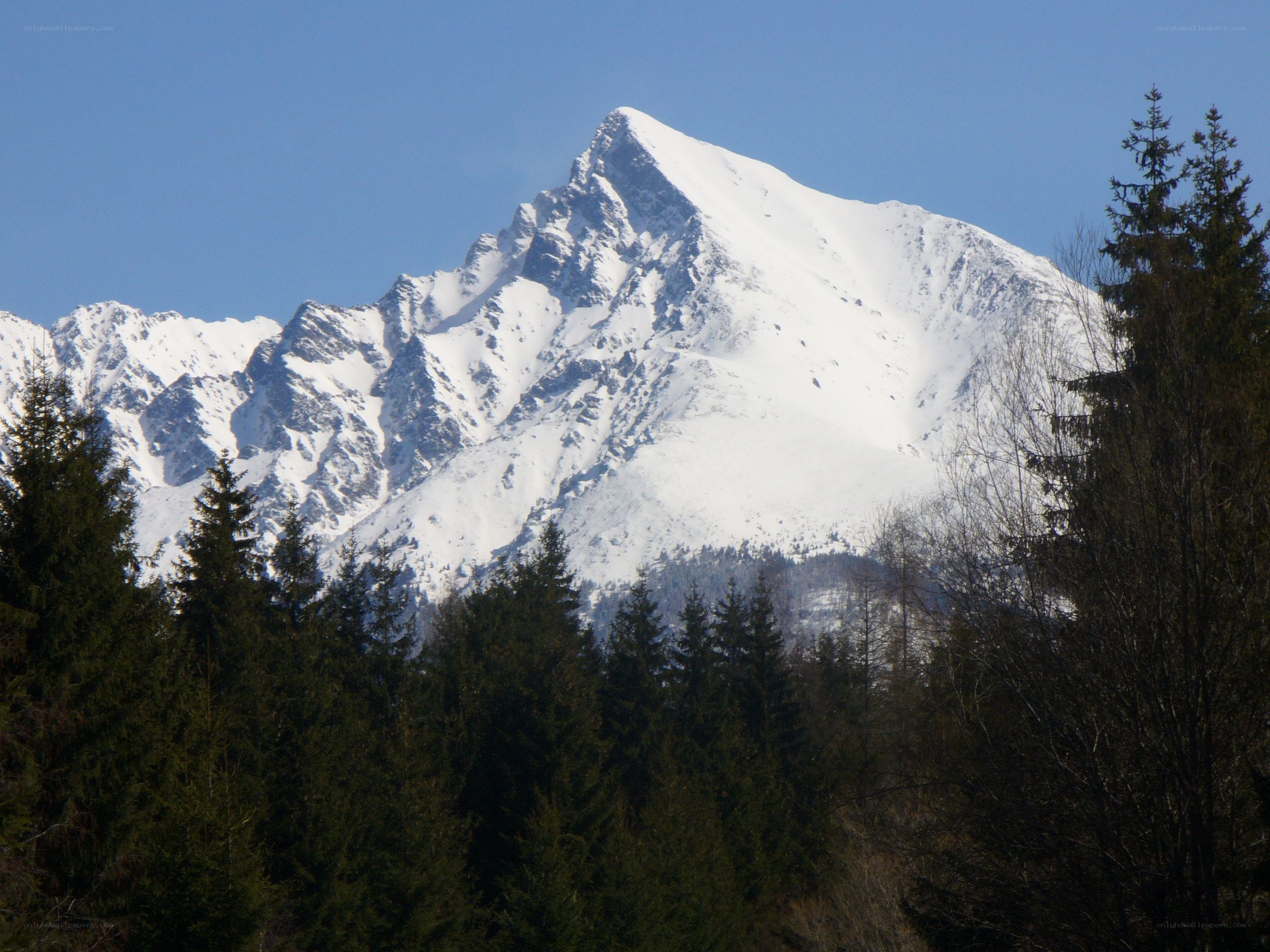 Snow-covered mountain peak