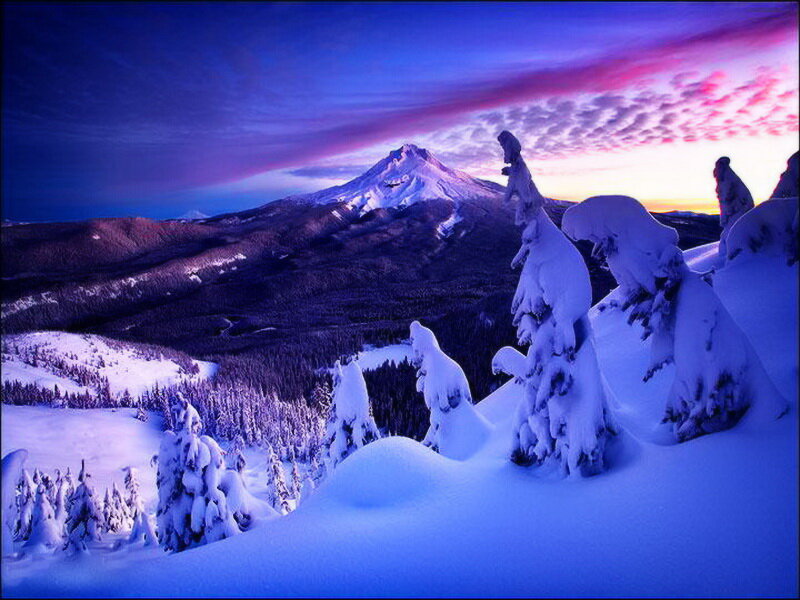 Snow-covered Mountain Peak — Blue, Dramatic, Sunset, Photograph, Trees