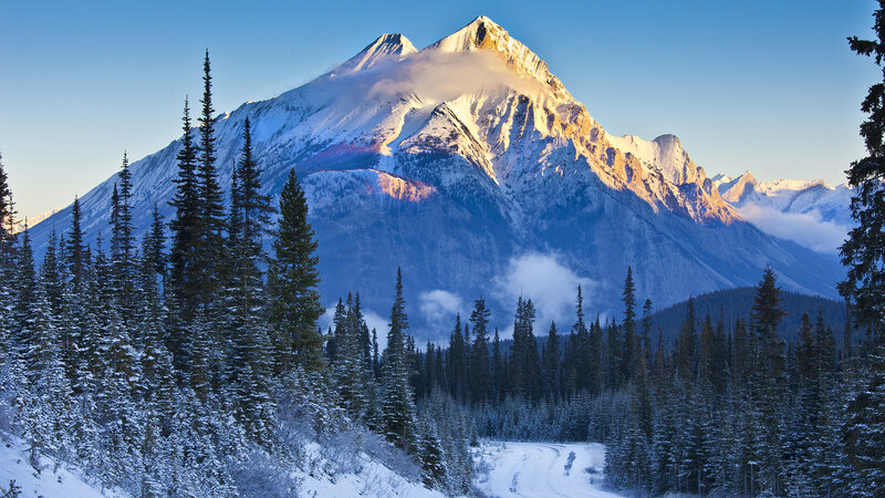 Snow-covered Mountain Peak — Blue, Serene, Winter, Photograph, Pine Trees, Forest