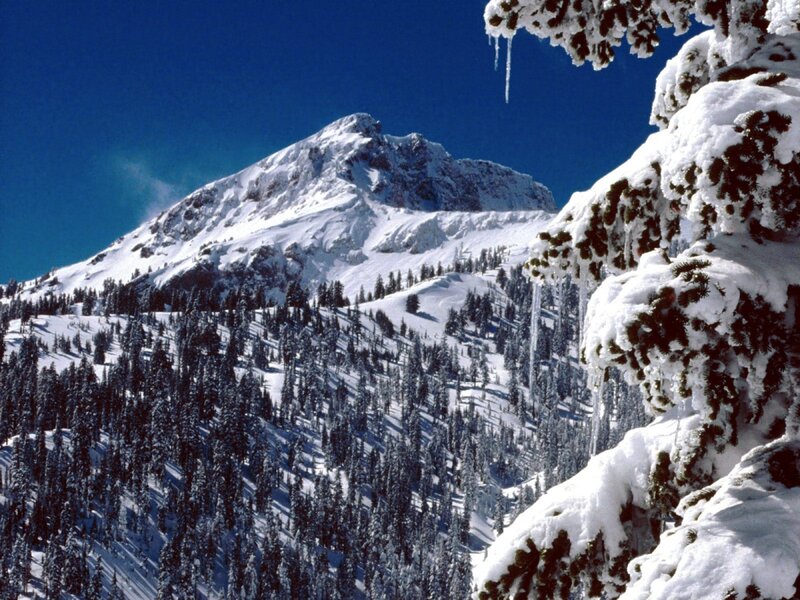 Snow-covered Mountain Peak — Blue, Serene, Winter, Photograph, Pine Trees, Icicles