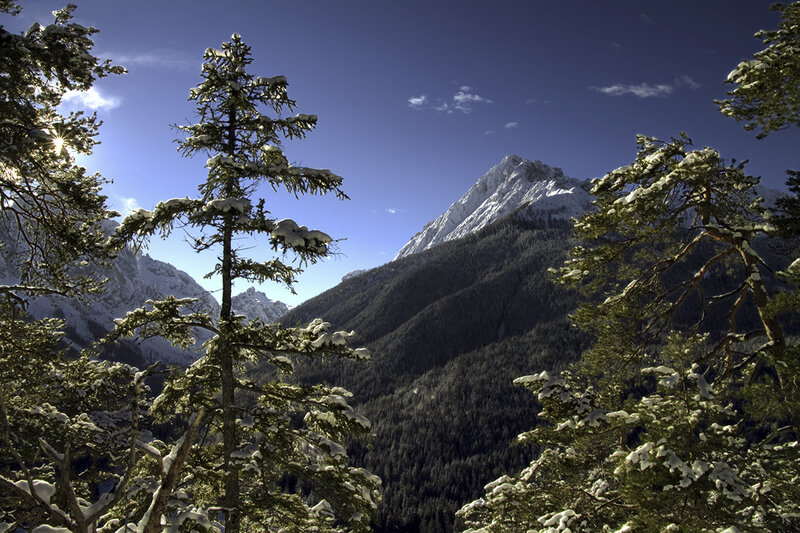 Snow-covered Mountain Peak — Blue, Serene, Winter, Photograph, Pine Trees, Snow, Sky