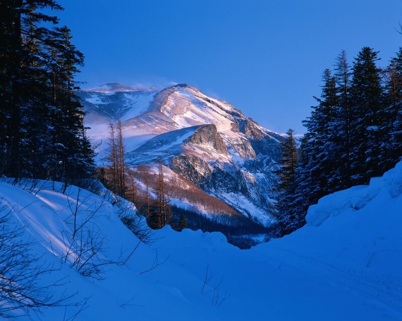 Snow-covered Mountain Peak — Blue, Serene, Winter, Photograph, Pine Trees, Snow, Sky, White, Brown