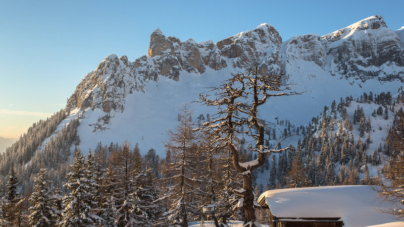 Snow-covered Mountain Peak — Blue, Serene, Winter, Photograph, Trees, Forest