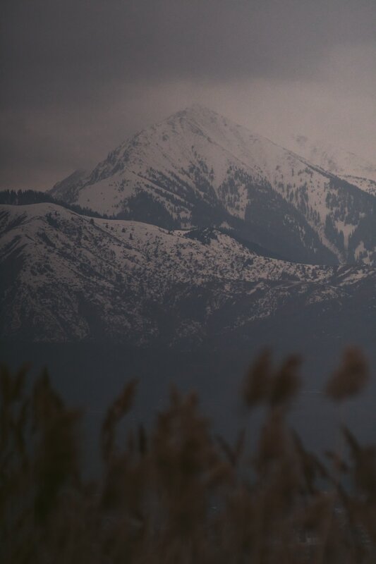 Snow-covered Mountain Peak — Gray, Dramatic, Winter, Photograph, Trees, Sky