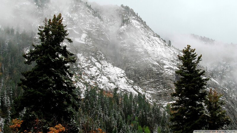 Snow-covered Mountain Peak — Green