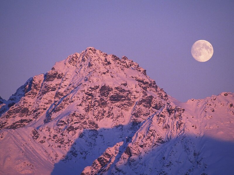 Snow-covered Mountain Peak — Purple, Serene, Night