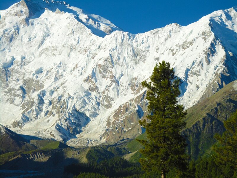 Snow-covered Mountain Peak — White, Dramatic, Afternoon, Photograph, Tree