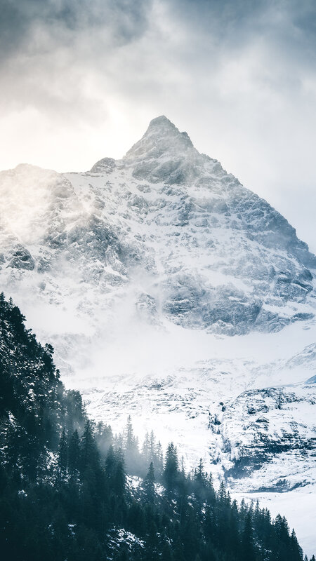 Snow-covered Mountain Peak — White, Dramatic, Winter, Photograph, Forest