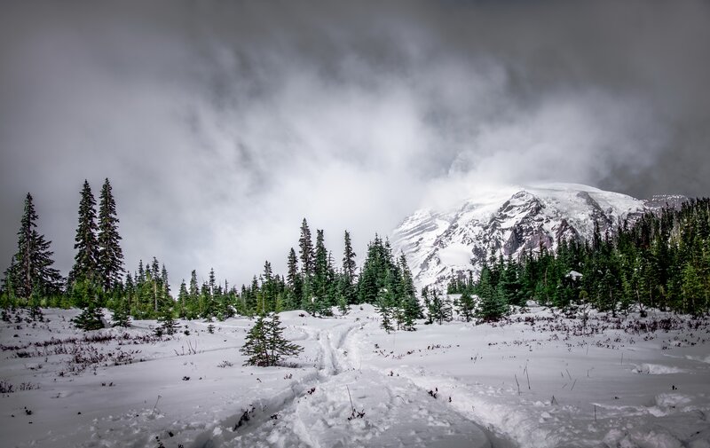 Snow-covered Mountain Peak — White, Dramatic, Winter, Photograph, Pine Trees