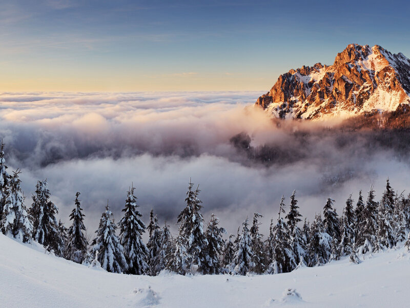 Snow-covered Mountain Peak — White, Serene, Winter, Photograph, Clouds, Pine Trees