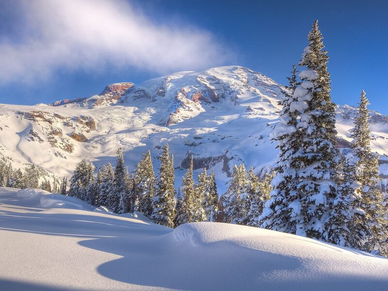 Snow-covered Mountain Peak — White, Serene, Winter, Photograph, Evergreen Trees, Snow