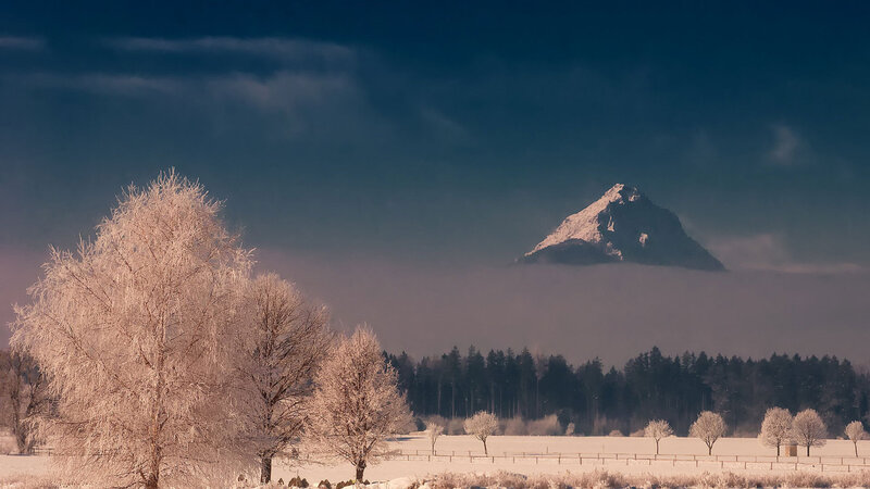 Snow-covered Mountain Peak — White, Serene, Winter, Photograph, Frosty Trees