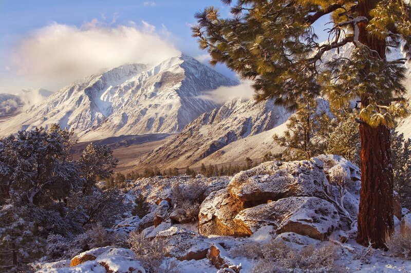 Snow-covered Mountain Peak — White, Serene, Winter, Photograph, Pine Tree