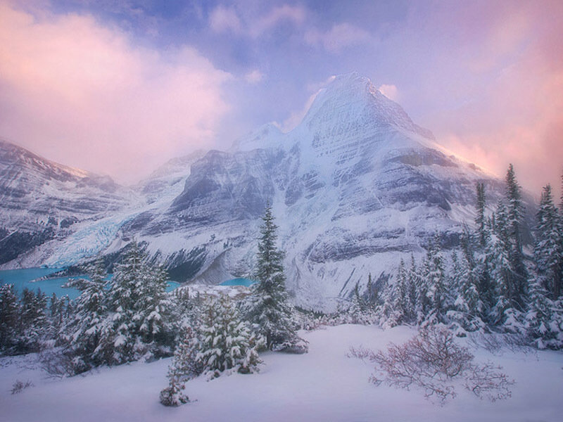 Snow-covered Mountain Peak — White, Serene, Winter, Photograph, Pine Trees