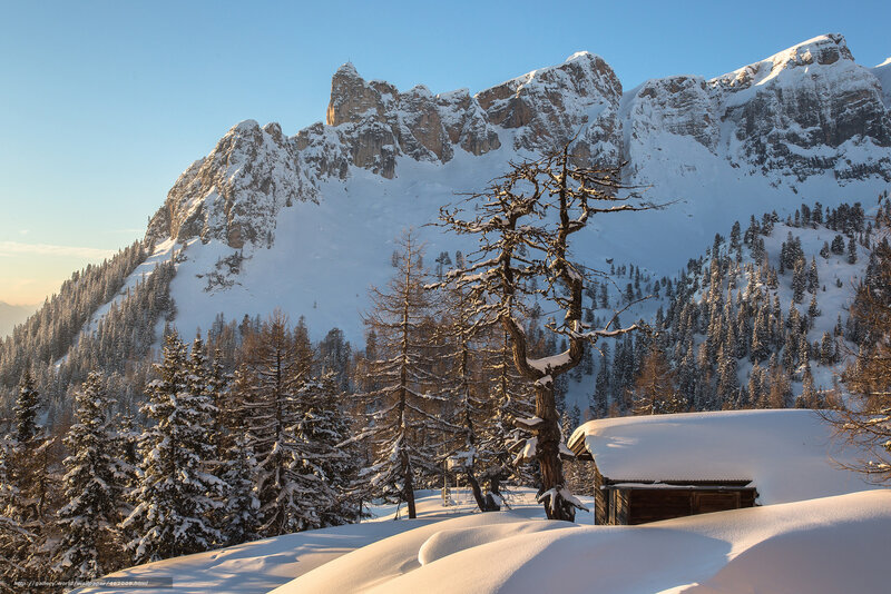 Snow-covered Mountain Peak — White, Serene, Winter, Photograph, Tree, Cabin