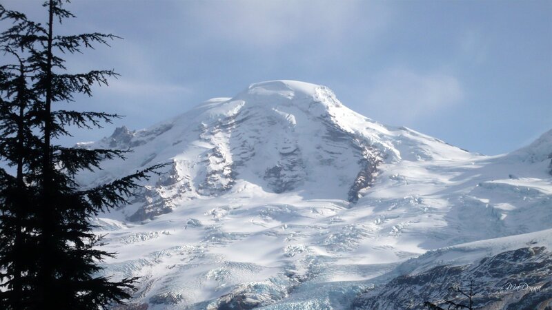 Snow-covered Mountain Peak — White, Serene, Winter, Photograph, Tree