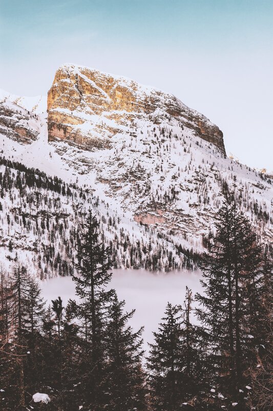 Snow-covered Mountain Peak — White, Serene, Winter, Photograph, Trees, Fog