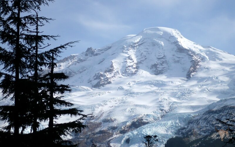 Snow-covered Mountain Peak — White, Serene, Winter, Photograph, Trees, Glacier