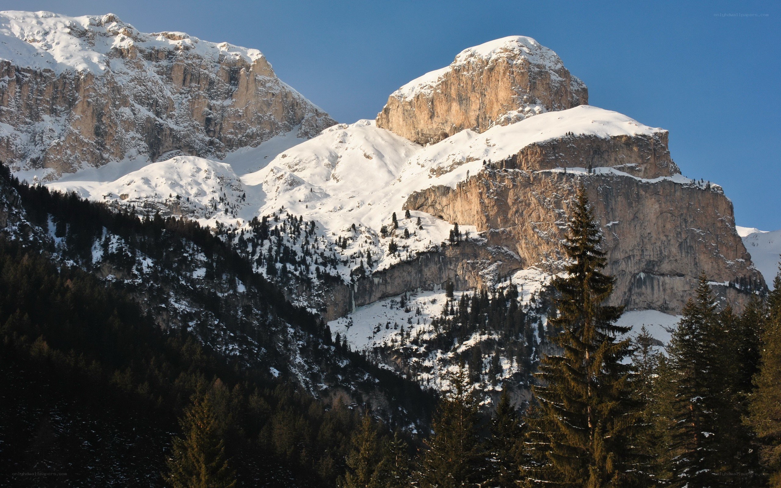 Snow-covered mountain peaks
