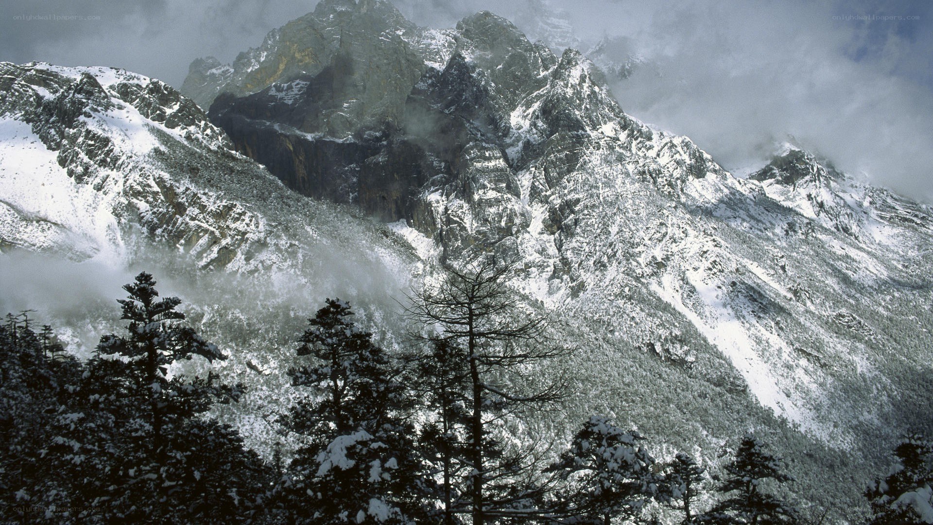 snow-covered mountain peaks
