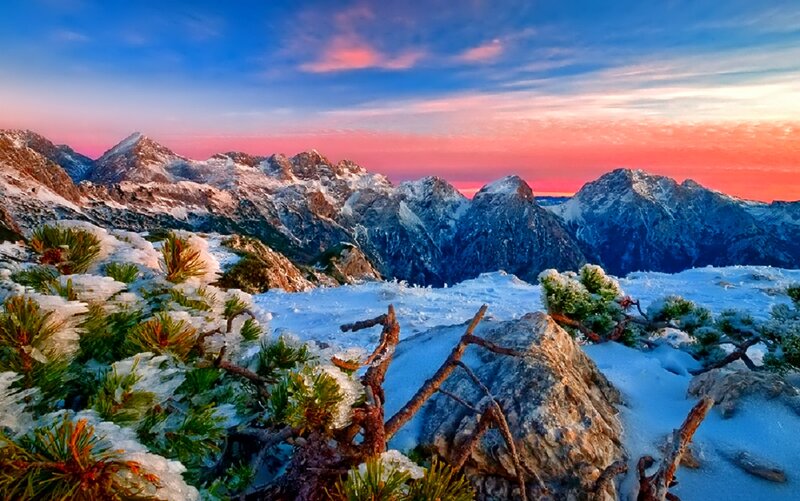 Snow-covered Mountain Peaks — Blue, Dramatic, Sunset, Photograph, Pine Trees