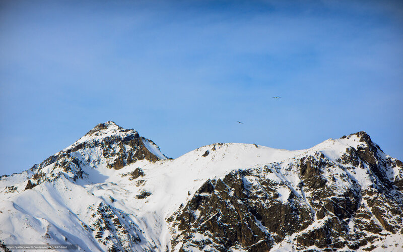 Snow-covered Mountain Peaks — Blue, Serene, Winter, Photograph, Birds