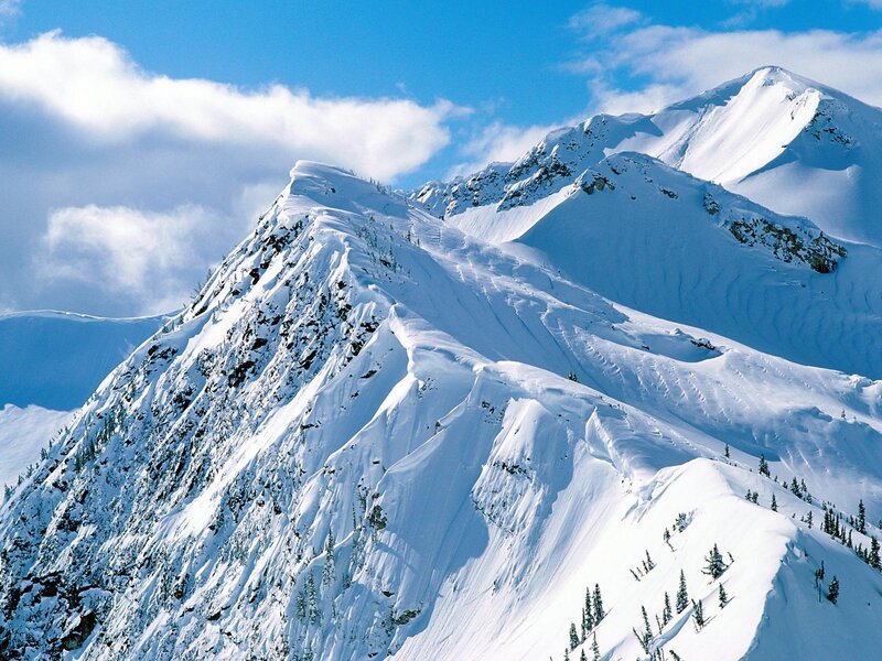 Snow-covered Mountain Peaks — Blue, Trees
