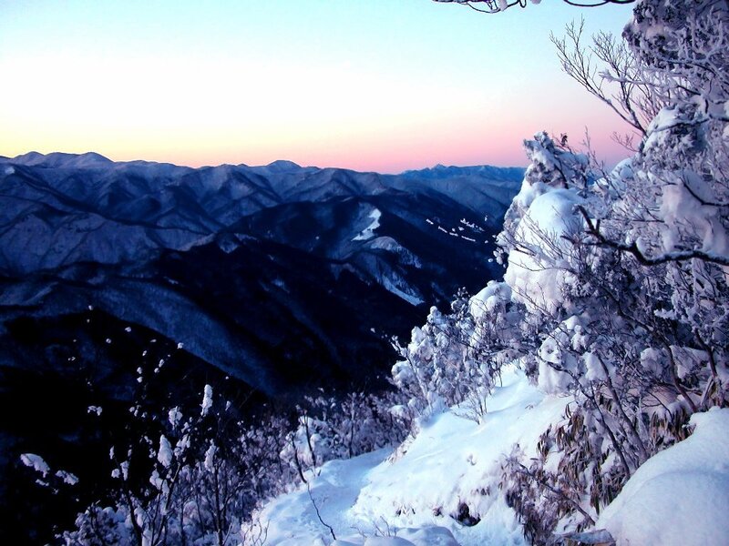Snow-covered Mountain Peaks — White, Serene, Winter, Photograph, Mountains, Trees