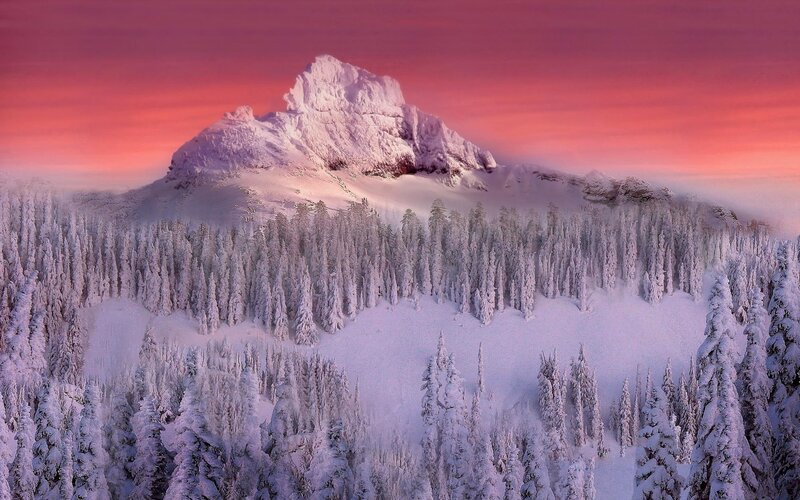 Snow-covered Mountain — Pink, Dramatic