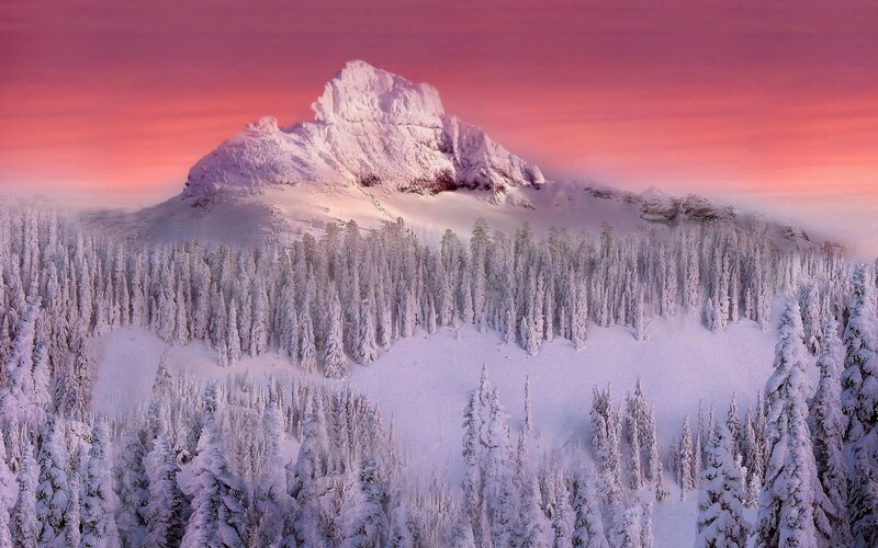 Snow-covered Mountain — Pink, Serene, Sunset, Photograph, Forest, Sky, Trees