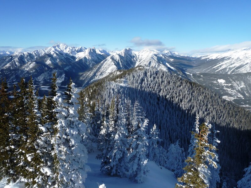 Snow-covered Mountain Range — Blue, Serene, Winter, Photograph, Evergreen Trees