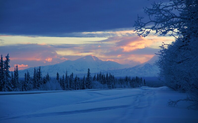Snow-covered Mountain Range — Blue, Serene, Winter, Photograph, Snowy Trees