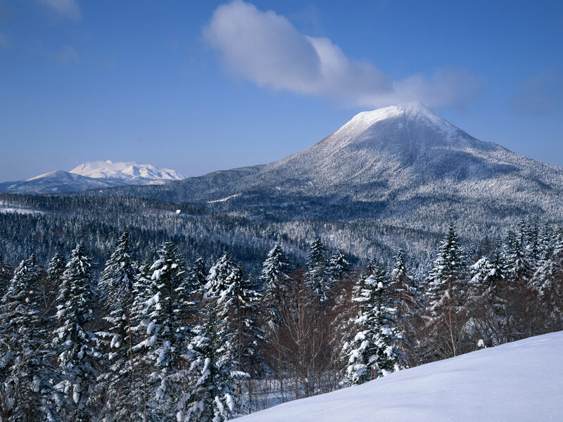 Snow-covered Mountain Range — Blue, Serene, Winter, Photograph, Trees, Forest