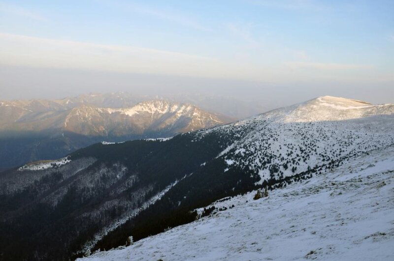 Snow-covered Mountain Range — White, Serene, Winter, Photograph, Mountains, Snow, Trees