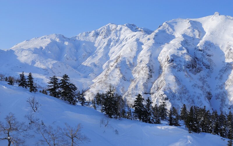 Snow-covered Mountain Range — White, Serene, Winter, Photograph, Trees, Mountains