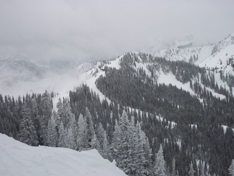 Snow-covered Mountain Slope — White, Cold, Winter, Photograph, Trees
