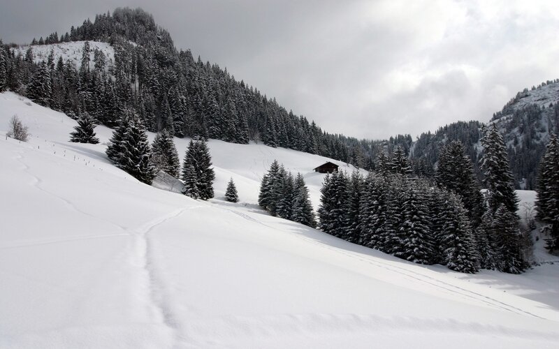 Snow-covered Mountain Slope — White, Serene, Winter, Photograph, Trees, Cabin, Ski Tracks