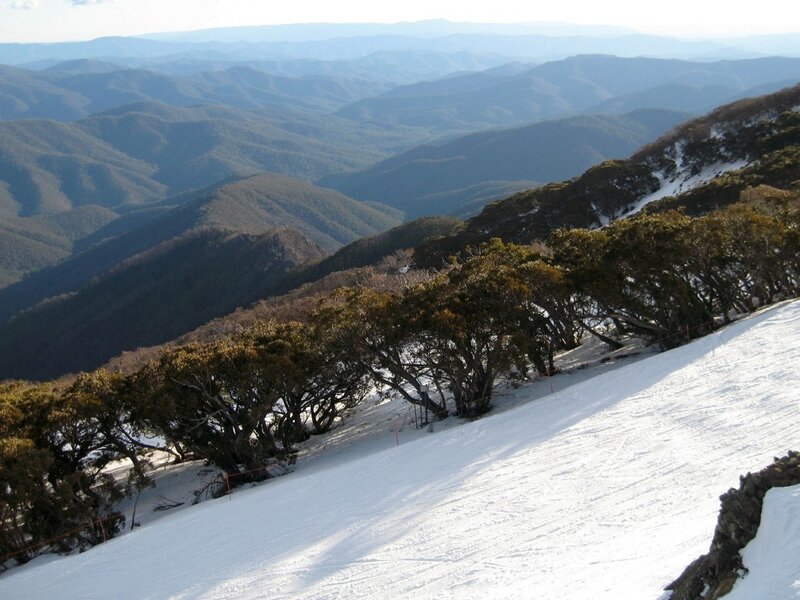 Snow-covered Mountain Slope — White, Serene, Winter, Photograph, Trees, Mountains, Snow