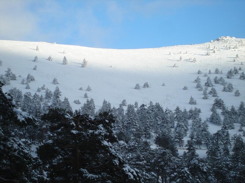 Snow-covered Mountain Slope — White, Serene, Winter, Photograph, Trees, Snow