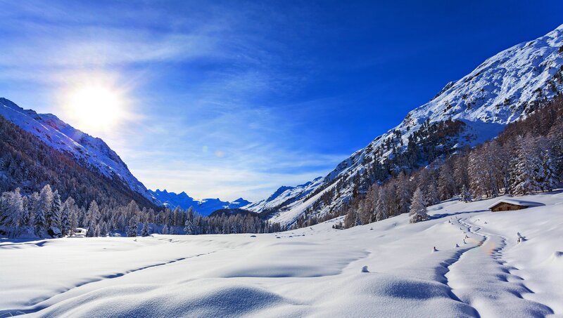 Snow-covered Mountain Valley — Blue, Serene, Winter, Photograph, Mountains, Trees