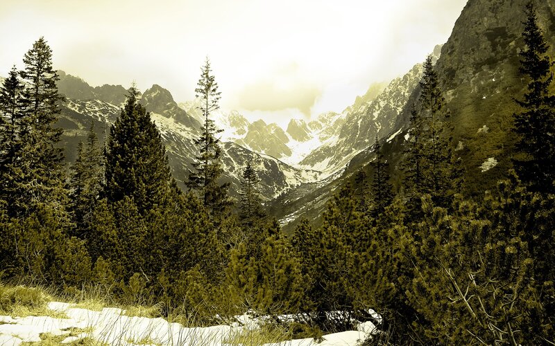 Snow-covered Mountain Valley — Green